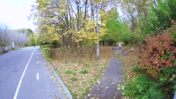 Herbst Stadtpark sokolniki — Stockvideo