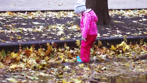 Flicka barn löper genom pölar — Stockvideo