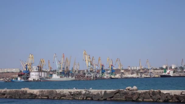 Berdyansk du port maritime — Video