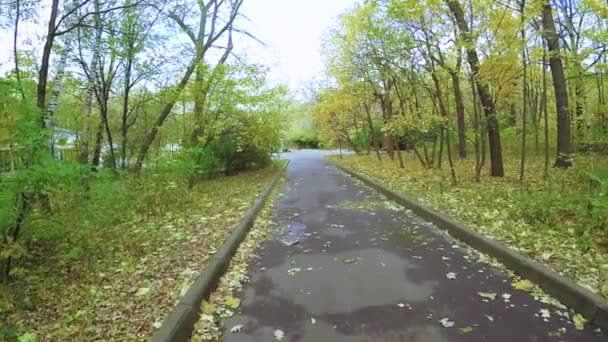 Jesienne miejskiego parku Sokolniki — Wideo stockowe