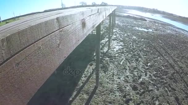 Fußabdrücke im Schlamm des Flusses — Stockvideo