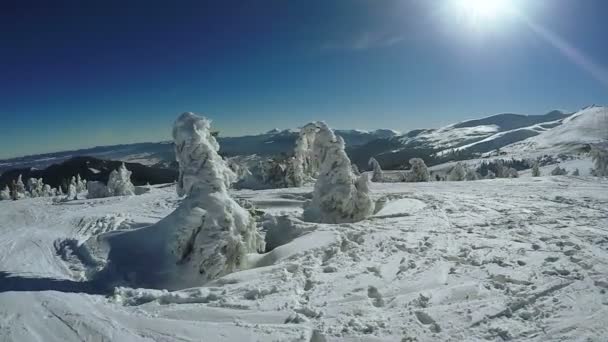 Besneeuwde helling en aten — Stockvideo