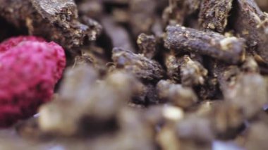 Ivan-Çay Ahududu ile