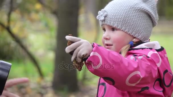 Bebê menina coleta cones de pinho — Vídeo de Stock