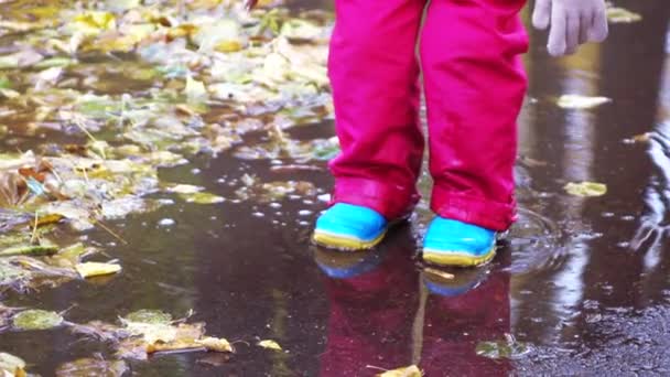 Niña corre a través de charcos — Vídeo de stock