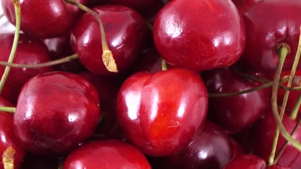 Bayas de cereza dulce — Vídeos de Stock