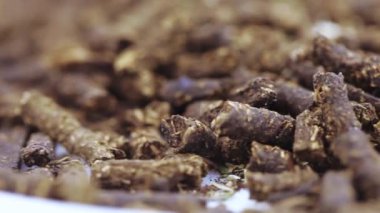 Ivan-tea mayalanmış.