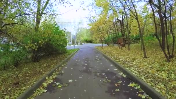 Осенний городской парк "Сокольники" — стоковое видео
