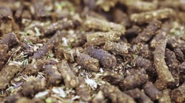 Ivan-tea mayalanmış.