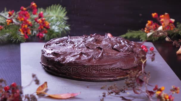 Pastel de calabaza en un plato — Vídeo de stock