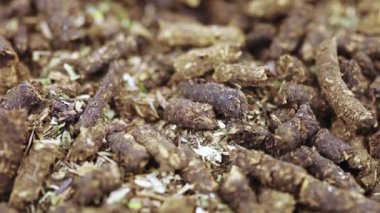 Deniz dikenli İvan çayı