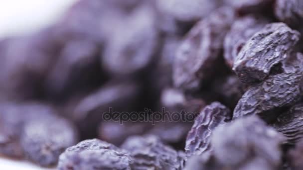 Pile de raisins bleus — Video