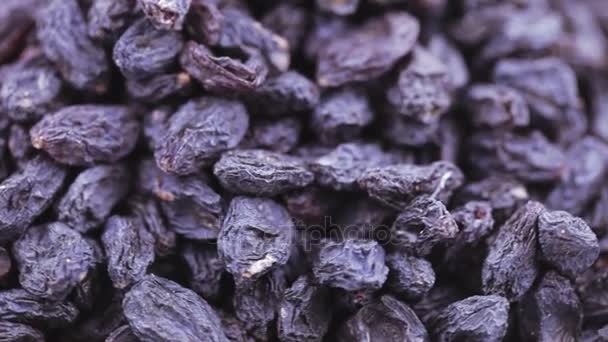 Pile de raisins bleus — Video