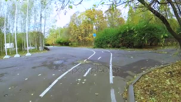 Parque de la ciudad de otoño Sokolniki — Vídeos de Stock