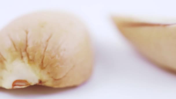 Avokado saf ossicle — Stok video