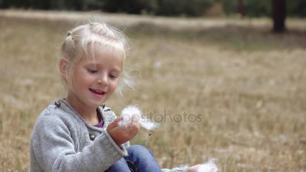 Meisje kind blazen pluis van bulrush — Stockvideo