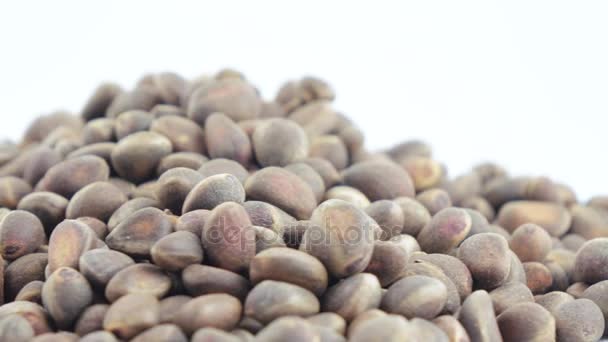 Pine nuts in bulks — Stock Video