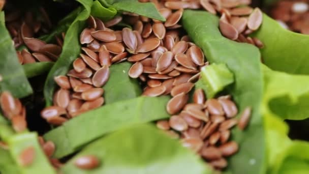 Ensalada surtida en hojas de lechuga — Vídeo de stock