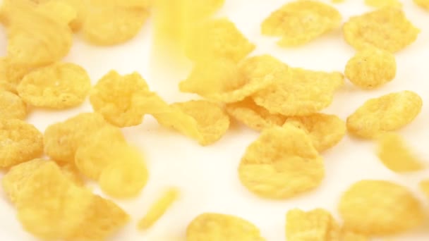 Flocons de maïs sans glaçure 