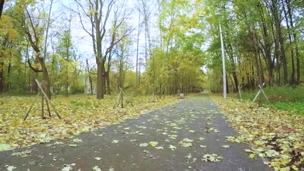 Parque de la ciudad de otoño Sokolniki — Vídeo de stock