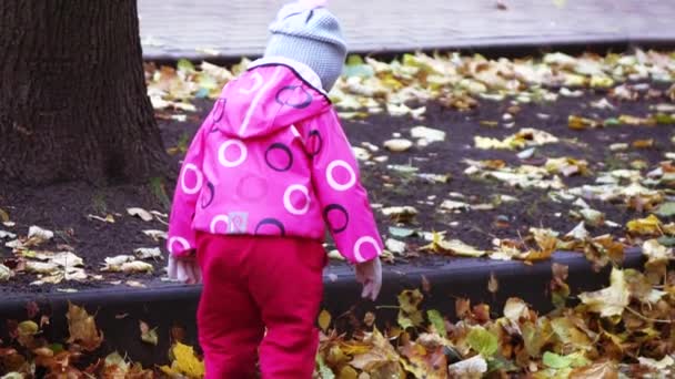 Girl child runs through puddles — Stock Video