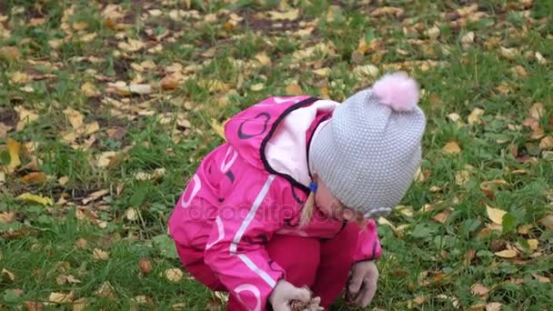 Bebé niña recoge conos de pino — Vídeo de stock