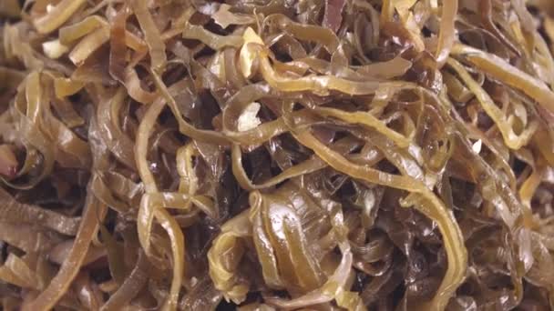 Seaweed Edible in bulk — Stock Video