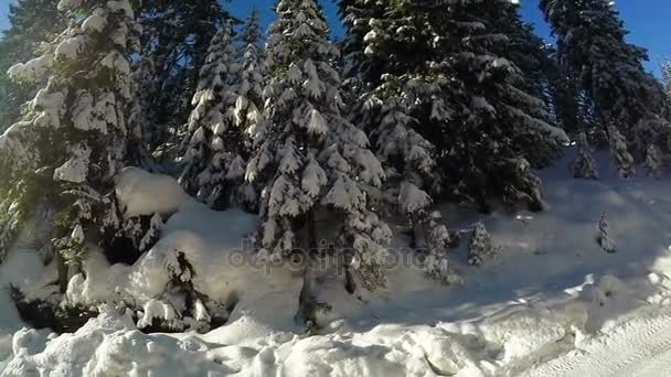 Pendiente cubierta de nieve y comió — Vídeo de stock