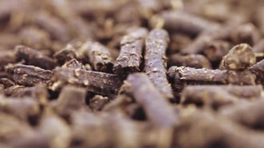 Helianthus tüberosus ile Ivan-çayı