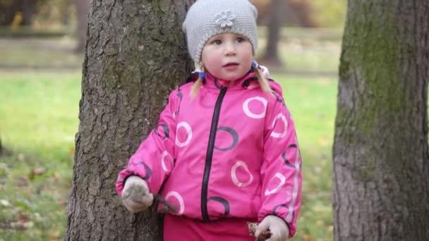 Дитяча дівчинка збирає соснові шишки — стокове відео