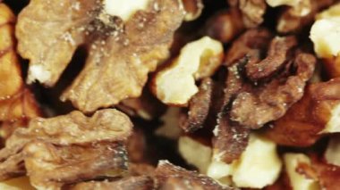 Ceviz fındık toplu olarak