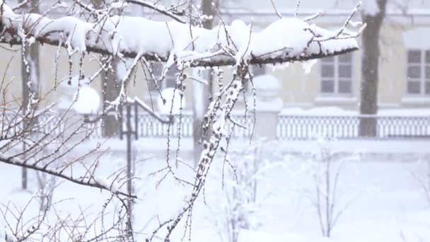 Fuertes nevadas en la ciudad — Vídeos de Stock