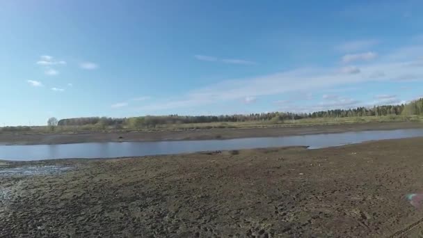 Limpeza da lagoa florestal — Vídeo de Stock