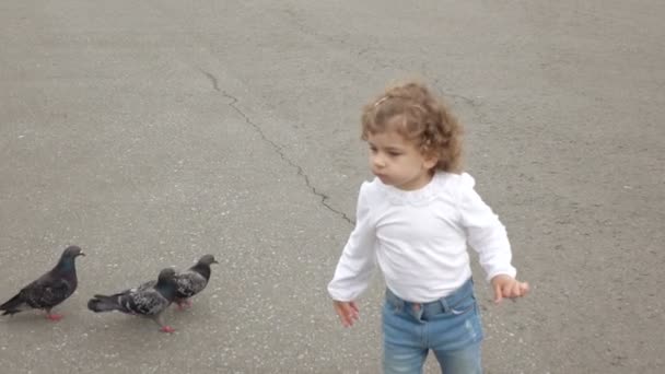 Девушка кормит голубей — стоковое видео