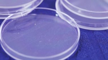 Kutuları plastik paralar için