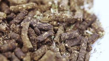 Deniz dikenli İvan çayı