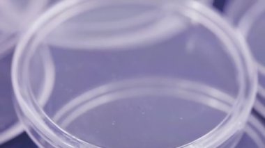 Kutuları plastik paralar için