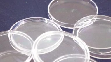 Kutuları plastik paralar için