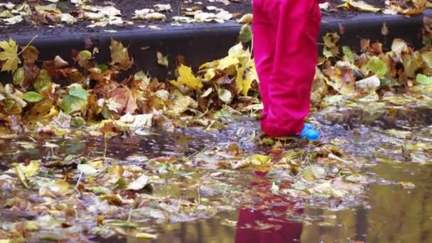 Niña corre a través de charcos — Vídeos de Stock