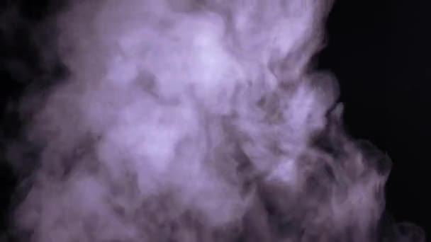 黑色背景上的白色水蒸气 — 图库视频影像