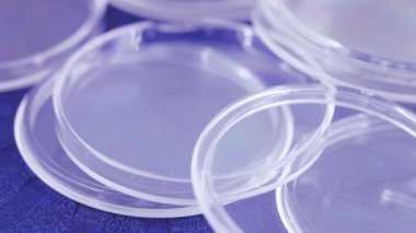 Kutuları plastik paralar için