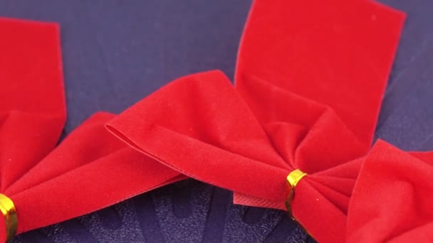 赤色の装飾的な弓 — ストック動画