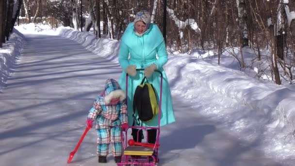 Мама на коньках и дочь на санках — стоковое видео