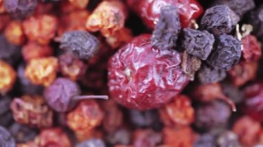 Karpat çilek toplama