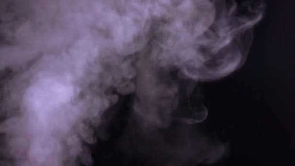 Abstraktní bílá vodní pára na černém pozadí — Stock video