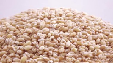 Pearl arpa zararlıları ile