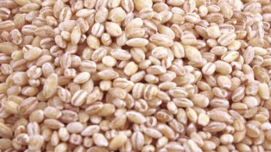 Pearl arpa zararlıları ile