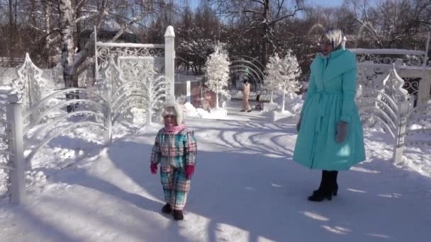 Mãe e filha em um parque de inverno — Vídeo de Stock