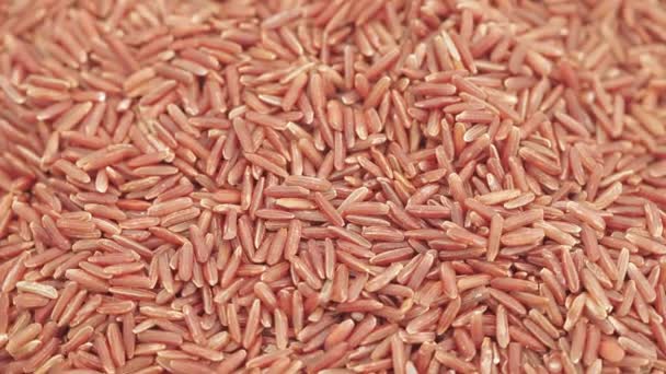 Arroz de grano rojo a granel — Vídeo de stock