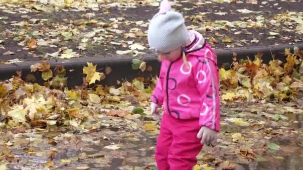 Girl child runs through puddles — Stock Video